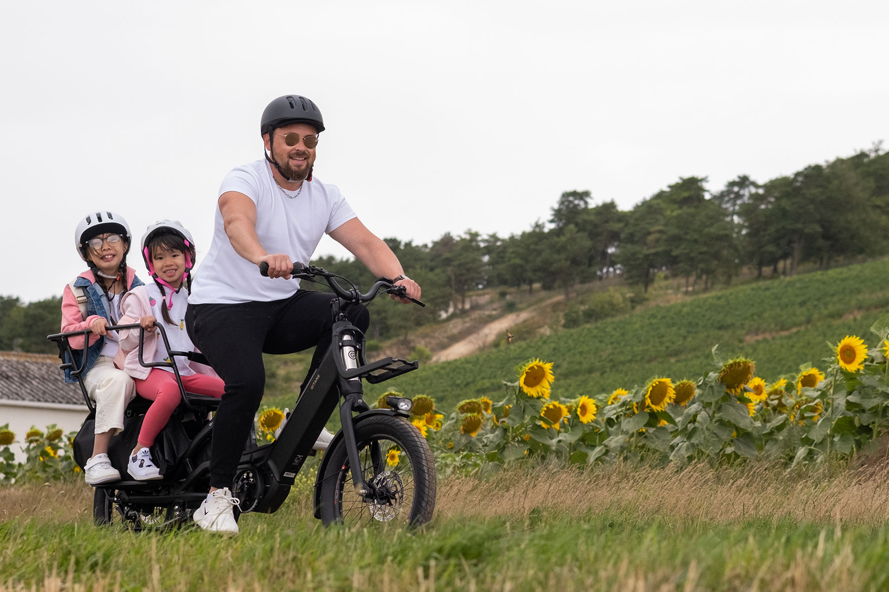 Velo electrique longtail gitane g-life